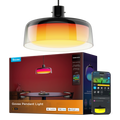 Govee Pendant Light