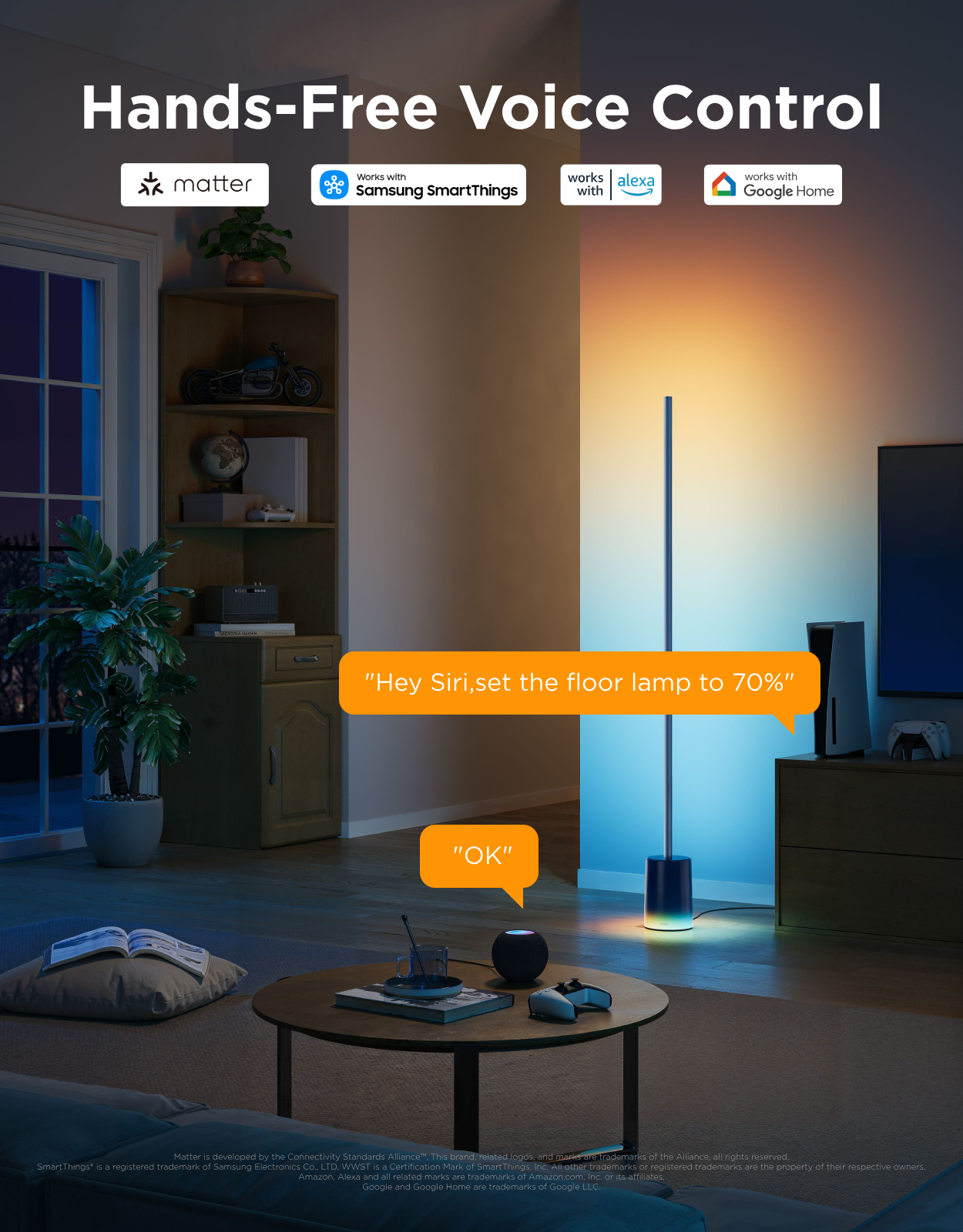 Govee Floor Lamp 2
