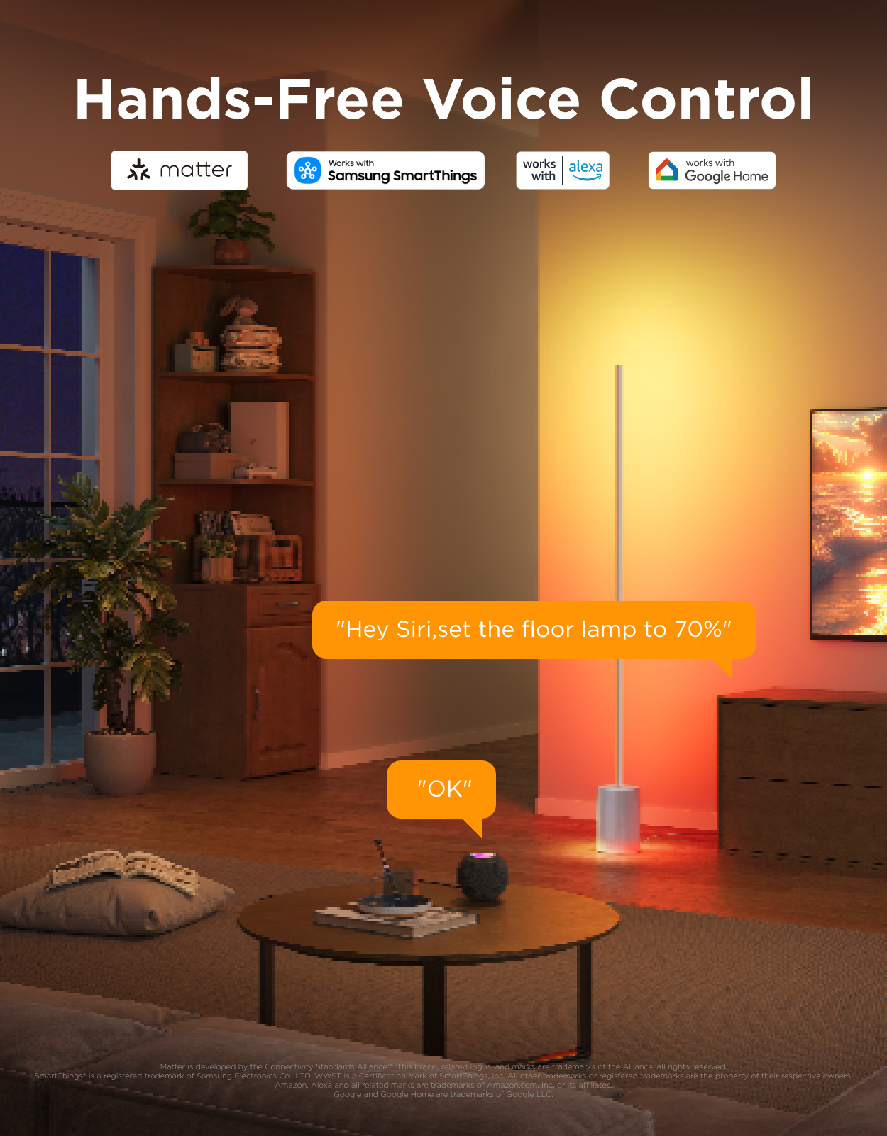 Govee Floor Lamp 2