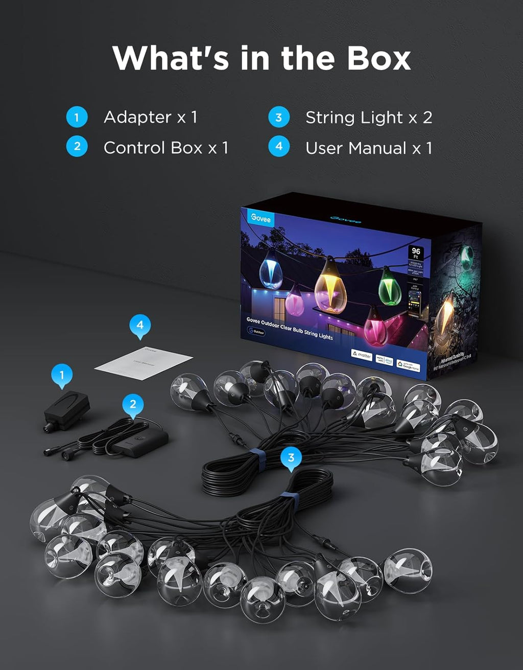 Govee Outdoor Clear Bulb String Lights