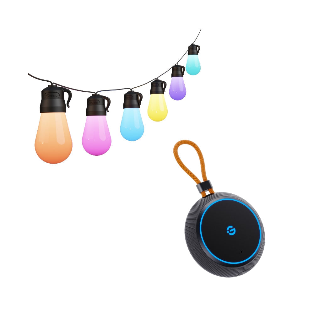 Govee Outdoor Light Show Box